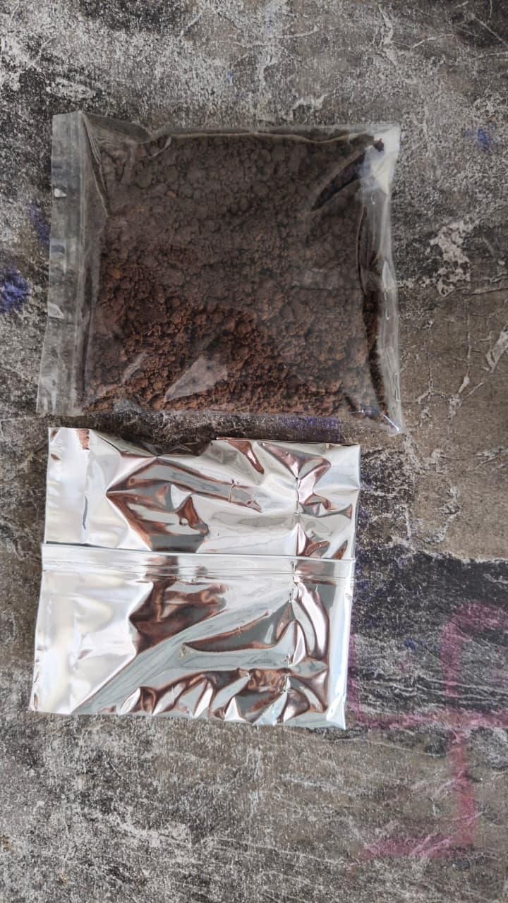 Rare Eclipse Rose Seeds | Exotic Dark Bloom Garden Beauty